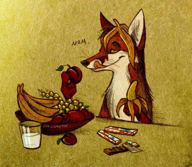 Лиса на кухне рисунки